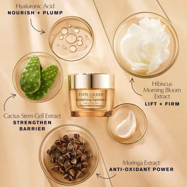 کرم ضد چروک و جوان ساز استی لادر Revitalizing Supreme حجم 75 میلی لیتر - Image 4